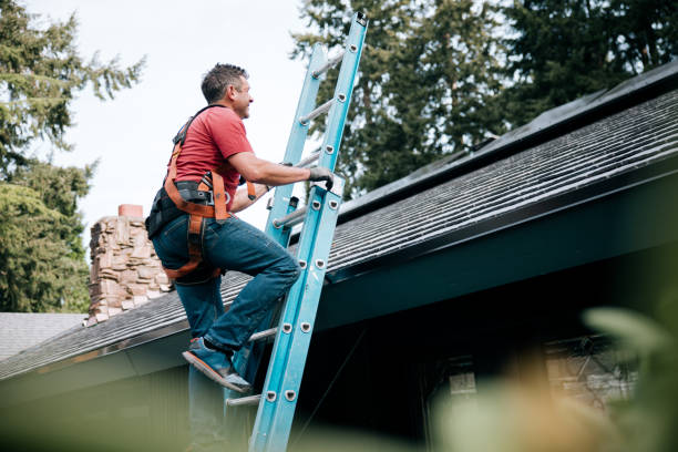 Best Asphalt Shingles Roofing  in Bessemer, MI