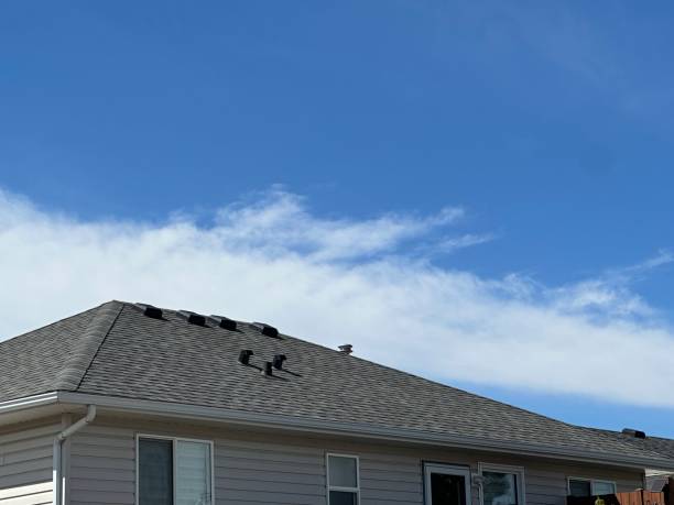 Best Roof Coating and Sealing  in Bessemer, MI
